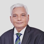 Prof. N. K. Samadhiya