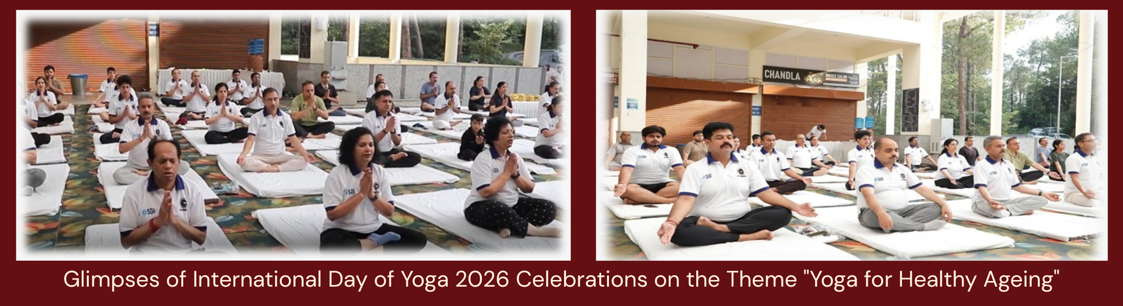 Glimpses of International Day of Yoga 2026 Celebrations on the Theme "Yoga for Healthy Ageing"